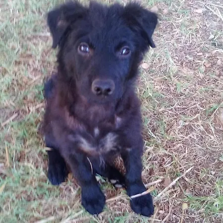 Campingplatz Pinus Starigrad Paklenica