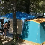 Pinus Стариград-Пакленица
