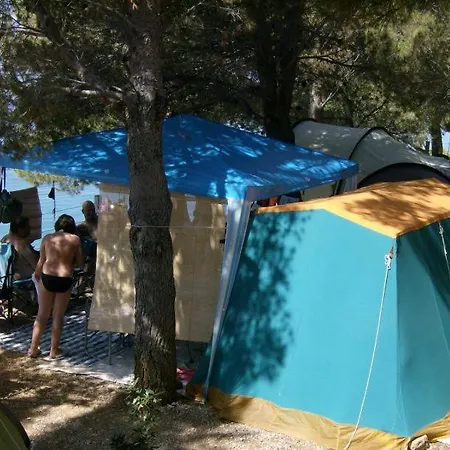 Pinus 스타리그라드 파클레니차